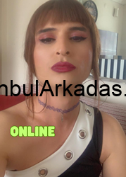 avcılar travesti rüya